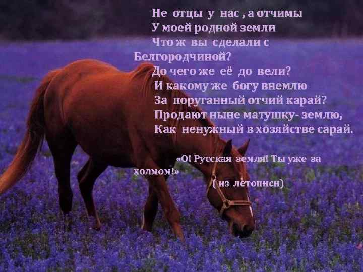 Не отцы у нас , а отчимы У моей родной земли Что ж вы