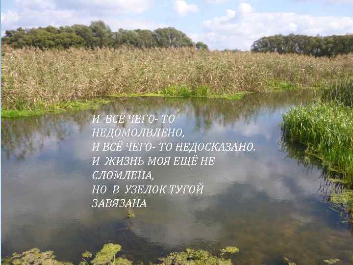 И ВСЁ ЧЕГО- ТО НЕДОМОЛВЛЕНО, И ВСЁ ЧЕГО- ТО НЕДОСКАЗАНО. И ЖИЗНЬ МОЯ ЕЩЁ