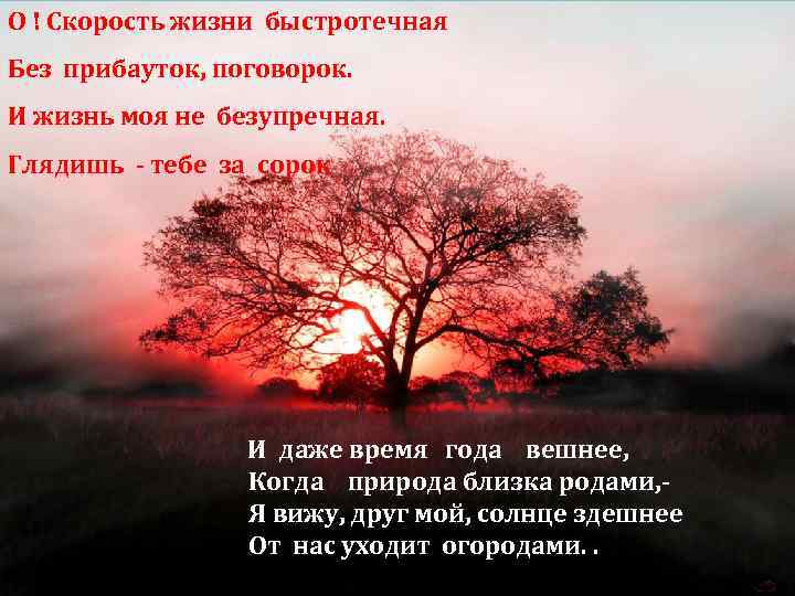 О ! Скорость жизни быстротечная Без прибауток, поговорок. И жизнь моя не безупречная. Глядишь