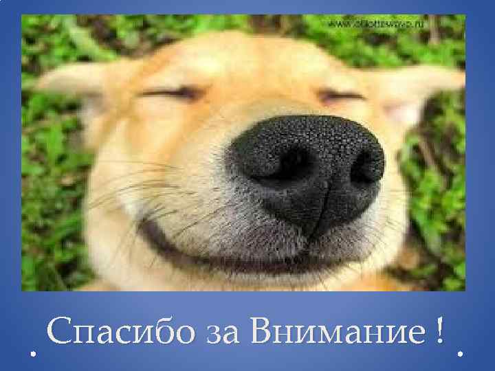 Спасибо за Внимание ! 