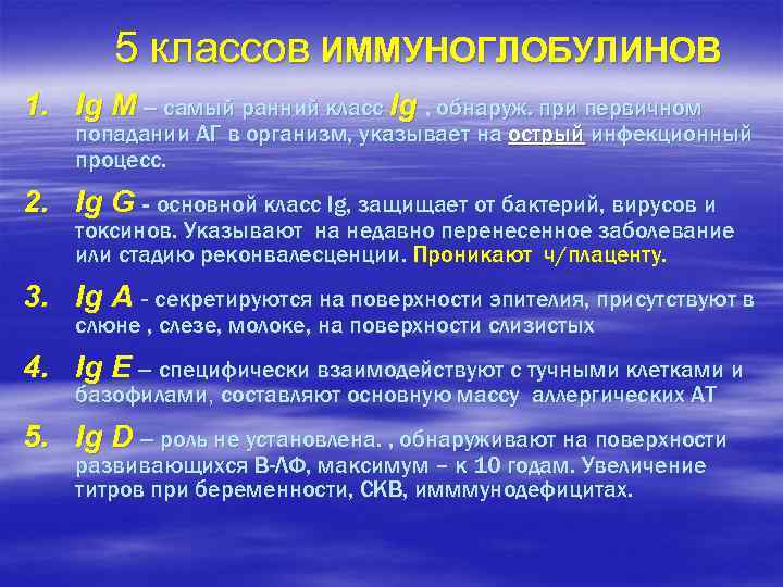5 классов ИММУНОГЛОБУЛИНОВ 1. Ig M – самый ранний класс Ig , обнаруж. при