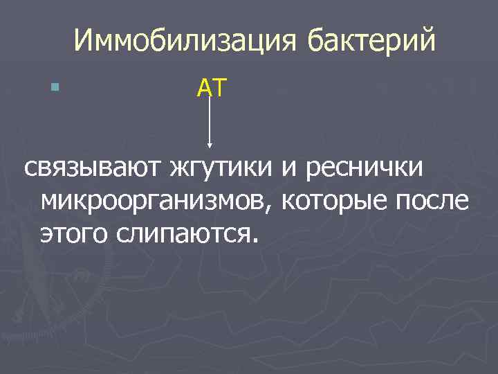 Иммобилизация бактерий § АТ связывают жгутики и реснички микроорганизмов, которые после этого слипаются. 