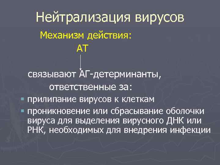 Нейтрализация вирусов Механизм действия: АТ связывают АГ-детерминанты, ответственные за: § прилипание вирусов к клеткам