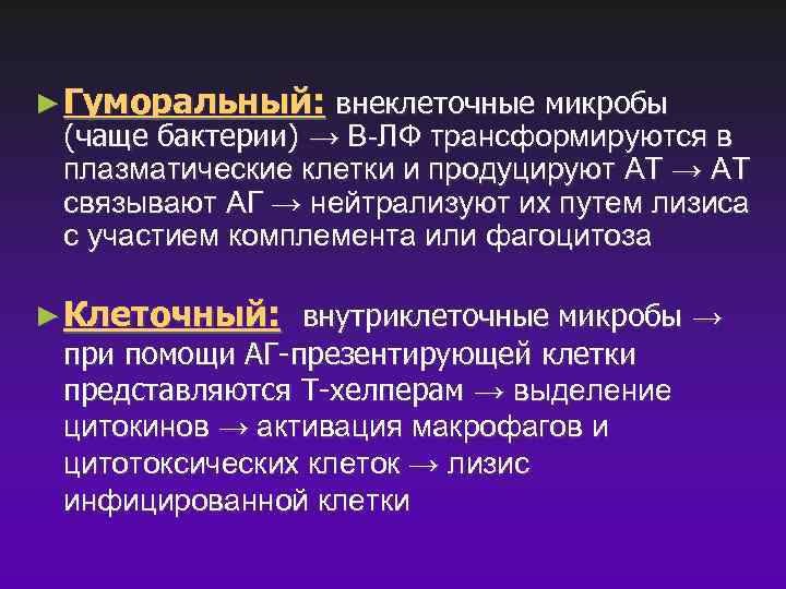 ► Гуморальный: внеклеточные микробы (чаще бактерии) → В-ЛФ трансформируются в плазматические клетки и продуцируют