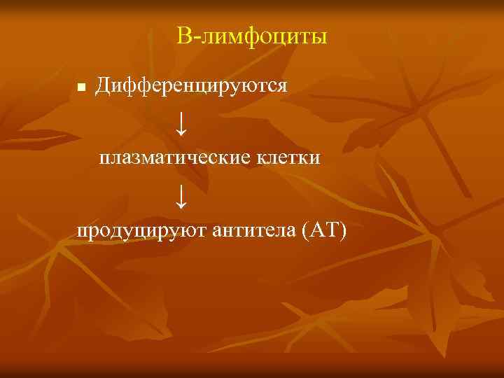 В-лимфоциты n Дифференцируются ↓ плазматические клетки ↓ продуцируют антитела (АТ) 