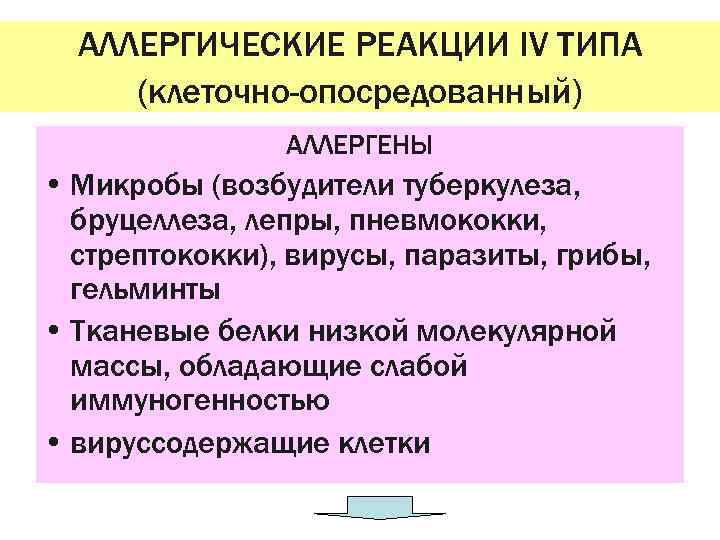АЛЛЕРГИЧЕСКИЕ РЕАКЦИИ IV ТИПА (клеточно-опосредованный) АЛЛЕРГЕНЫ • Микробы (возбудители туберкулеза, бруцеллеза, лепры, пневмококки, стрептококки),