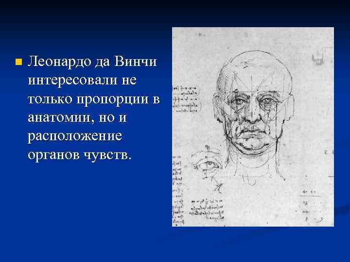 n Леонардо да Винчи интересовали не только пропорции в анатомии, но и расположение органов