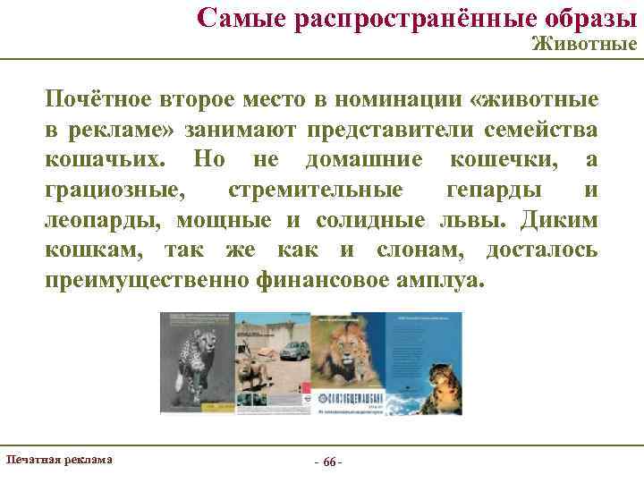 Самые распространённые образы Животные Почётное второе место в номинации «животные в рекламе» занимают представители