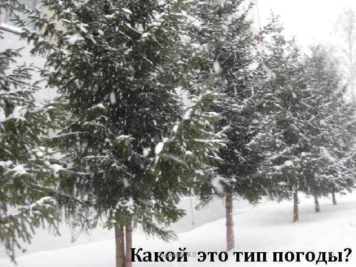 Какой это тип погоды? Гудинова Ж. В. 22 