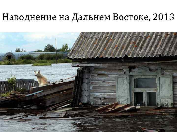 Наводнение на Дальнем Востоке, 2013 Гудинова Ж. В. 30 