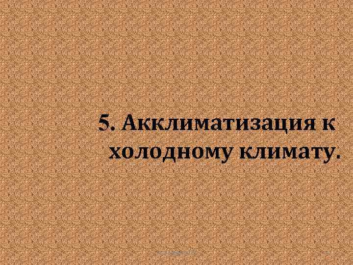 5. Акклиматизация к холодному климату. Гудинова Ж. В. 41 