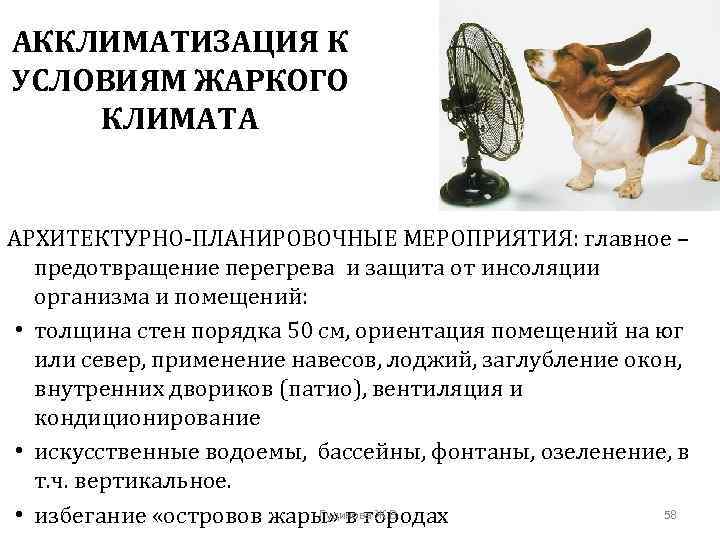 АККЛИМАТИЗАЦИЯ К УСЛОВИЯМ ЖАРКОГО КЛИМАТА АРХИТЕКТУРНО-ПЛАНИРОВОЧНЫЕ МЕРОПРИЯТИЯ: главное – предотвращение перегрева и защита от
