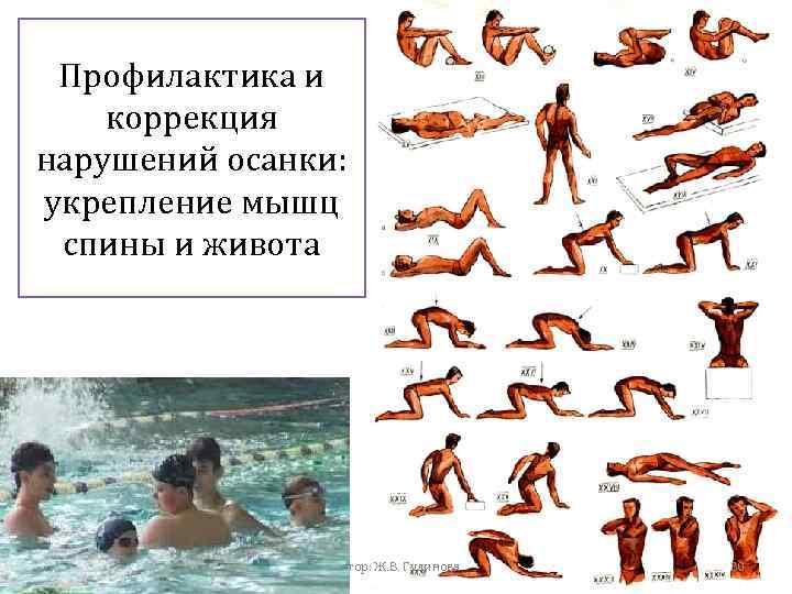 Профилактика и коррекция нарушений осанки: укрепление мышц спины и живота Автор: Ж. В. Гудинова