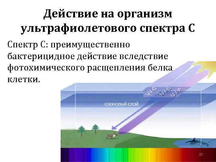 Действие на организм ультрафиолетового спектра С Спектр С: преимущественно бактерицидное действие вследствие фотохимического расщепления