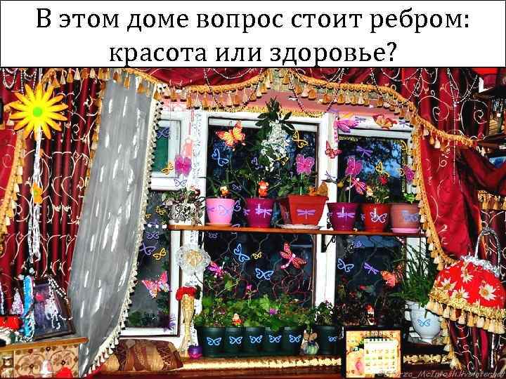 В этом доме вопрос стоит ребром: красота или здоровье? 51 