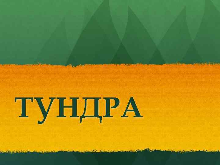ТУНДРА 