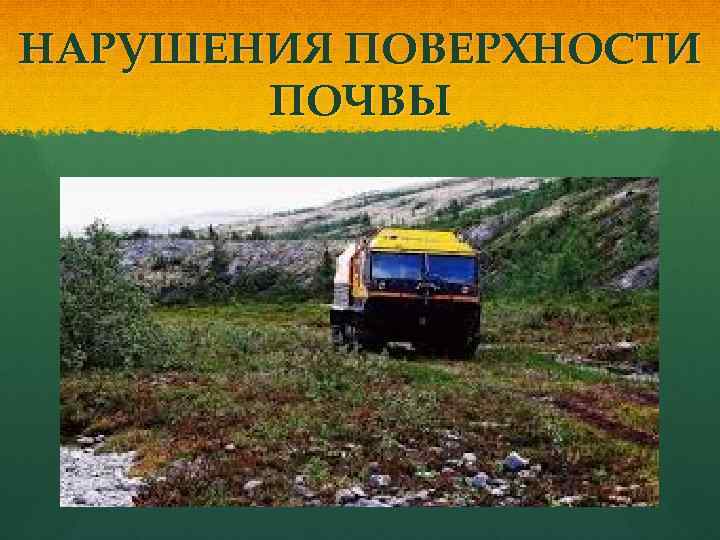 НАРУШЕНИЯ ПОВЕРХНОСТИ ПОЧВЫ 