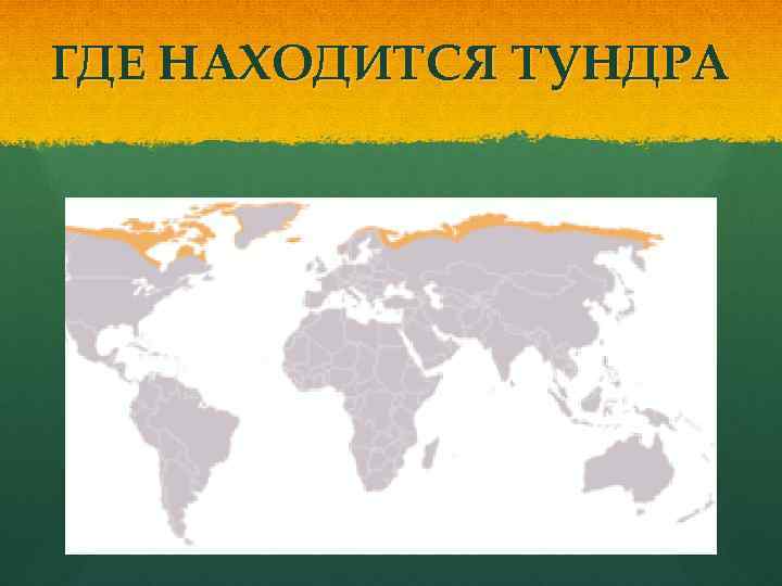 ГДЕ НАХОДИТСЯ ТУНДРА 