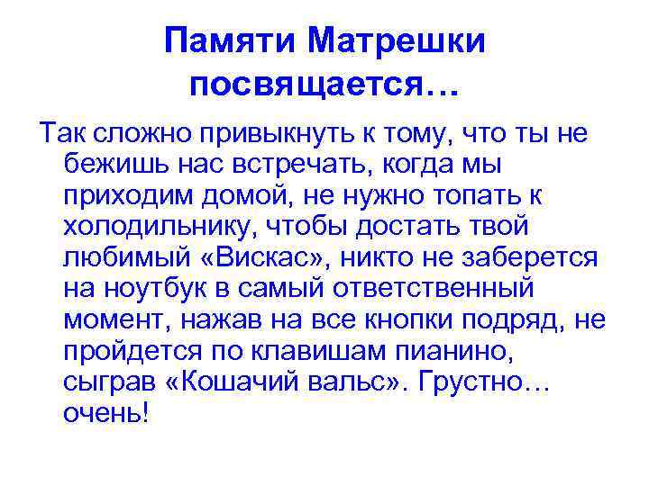 Памяти Матрешки посвящается… Так сложно привыкнуть к тому, что ты не бежишь нас встречать,