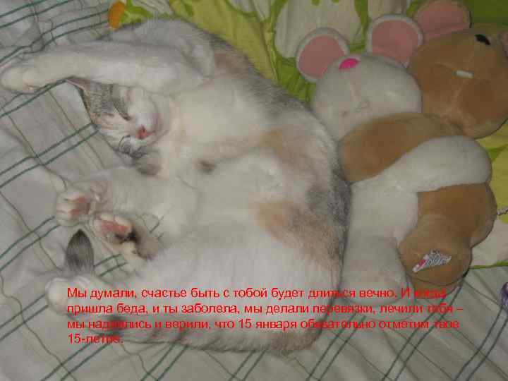 Мы думали, счастье быть с тобой будет длиться вечно. И когда пришла беда, и