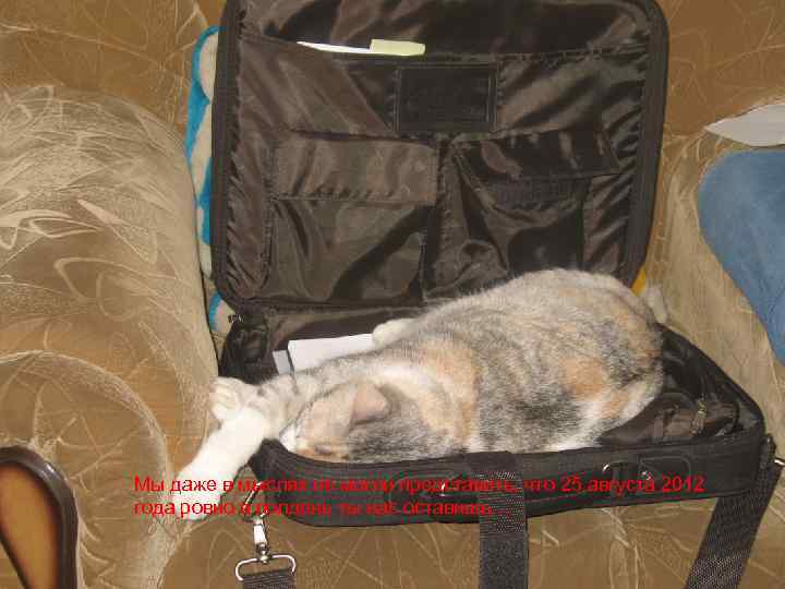 Мы даже в мыслях не могли представить, что 25 августа 2012 года ровно в