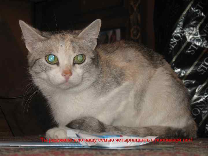 Ты радовала всю нашу семью четырнадцать с половиной лет! 