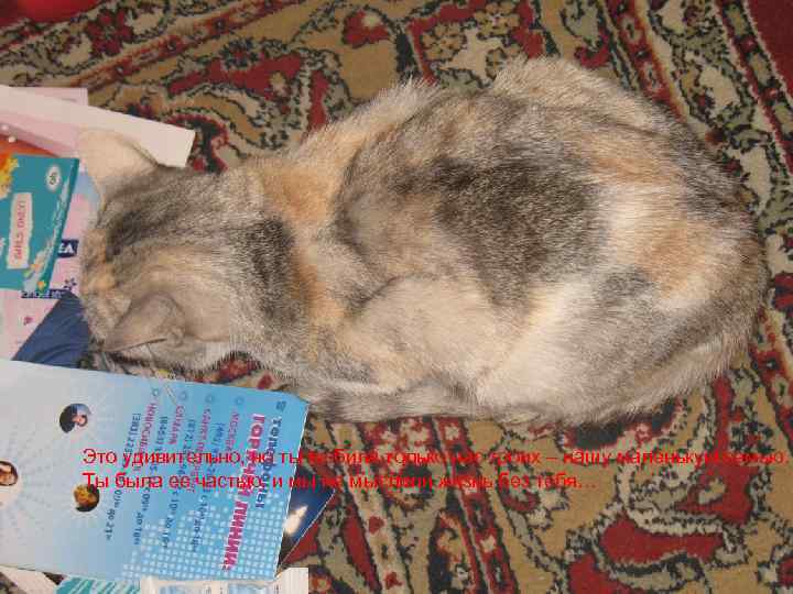 Это удивительно, но ты любила только нас троих – нашу маленькую семью. Ты была