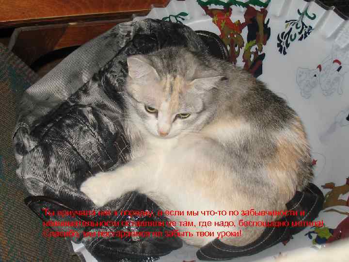 Ты приучала нас к порядку, а если мы что-то по забывчивости и невнимательности оставляли