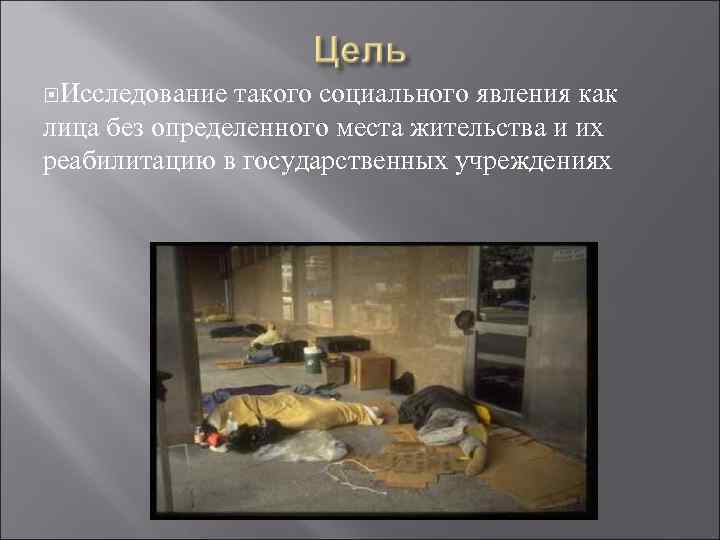  Исследование такого социального явления как лица без определенного места жительства и их реабилитацию