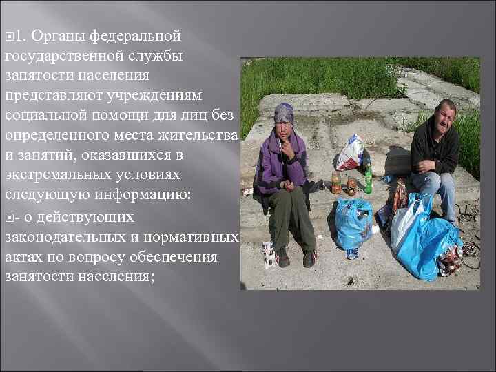  1. Органы федеральной государственной службы занятости населения представляют учреждениям социальной помощи для лиц