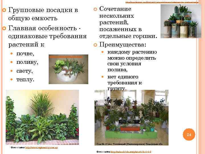 https: //www. facebook. com/Fitodizajn. IOzelenenie. Intererov? ref=stream&hc_location=timeline Групповые посадки в общую емкость Главная особенность