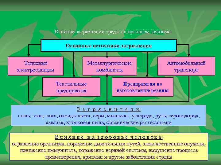 Влияние загрязнения среды на организм человека Основные источники загрязнения Тепловые электростанции Металлургические комбинаты Текстильные