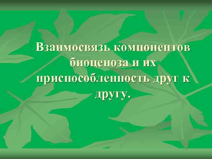 Взаимосвязь компонентов биоценоза презентация 7 класс