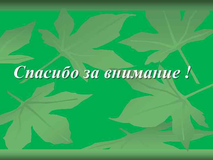 Спасибо за внимание ! 