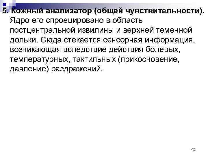 5. Кожный анализатор (общей чувствительности). Ядро его спроецировано в область постцентральной извилины и верхней