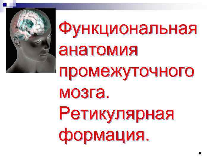 Функциональная анатомия промежуточного мозга. Ретикулярная формация. 6 
