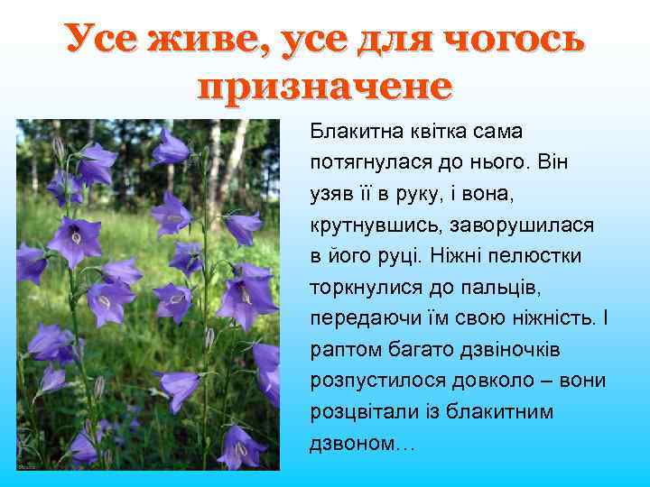 Усе живе, усе для чогось призначене Блакитна квітка сама потягнулася до нього. Він узяв