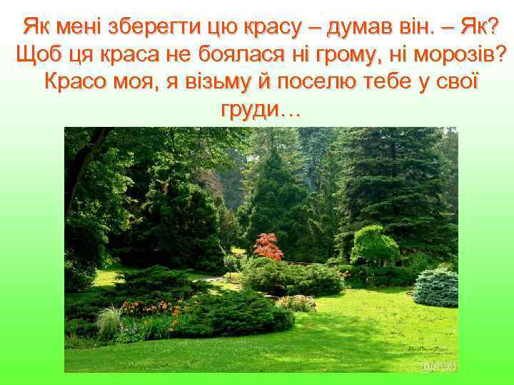Як мені зберегти цю красу – думав він. – Як? Щоб ця краса не