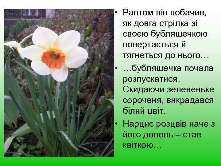  • Раптом він побачив, як довга стрілка зі своєю бубляшечкою повертається й тягнеться