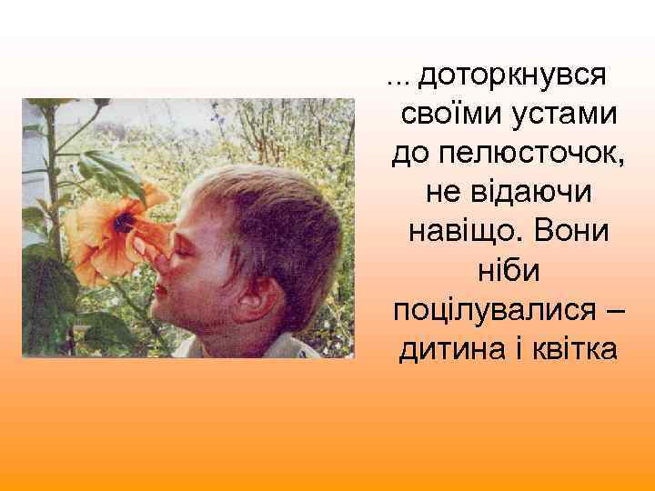 … доторкнувся своїми устами до пелюсточок, не відаючи навіщо. Вони ніби поцілувалися – дитина