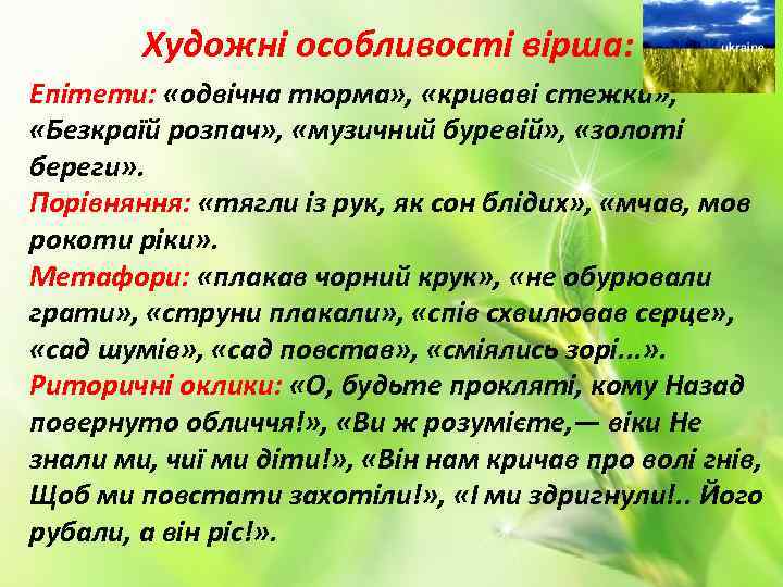 Художні особливості вірша: Епітети: «одвічна тюрма» , «криваві стежки» , «Безкраїй розпач» , «музичний