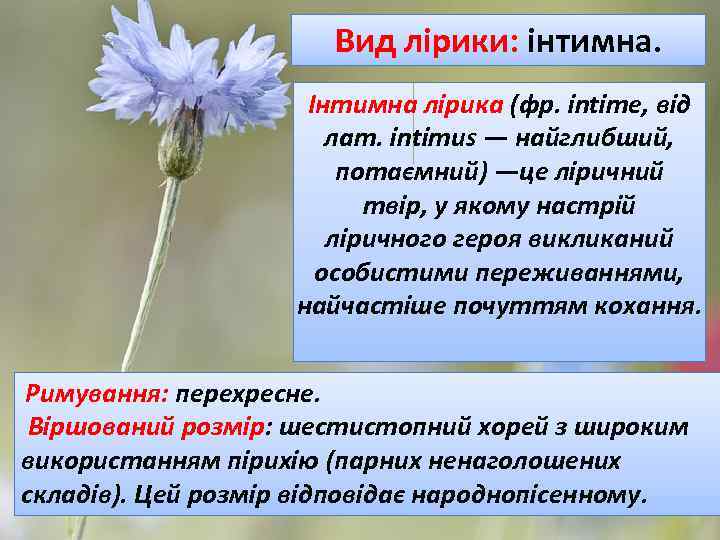 Вид лірики: інтимна. Інтимна лірика (фр. intime, від лат. intimus — найглибший, потаємний) —це