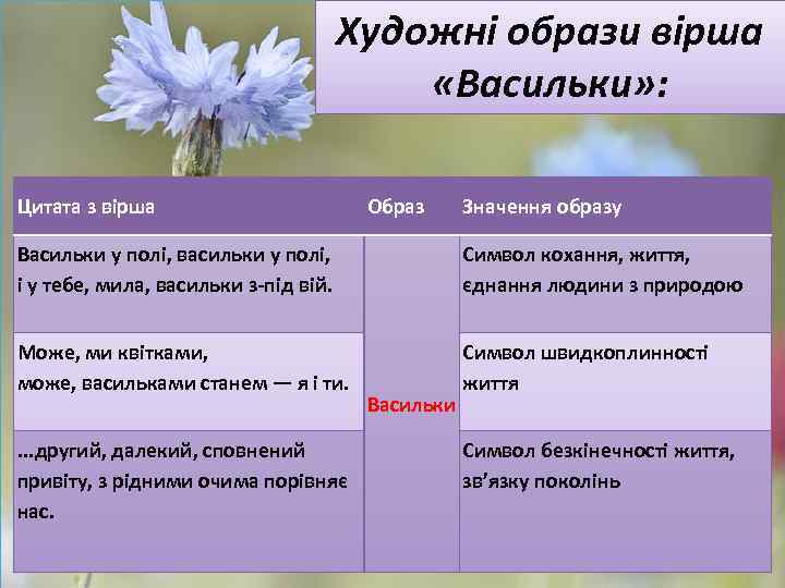 Незагойная рана краткое. Вірш в Сосюри васильки. Поезия айстри художни засоби. Художні засоби з вірша в. пояти "Польова стежина".