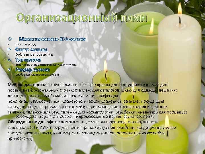 Организационный план v • v Местоположение SPA-салона: Центр города; Статус салона: Собственное помещение; Тип