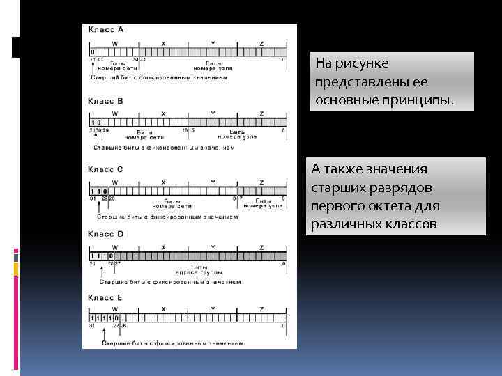 На рисунке представлены ее основные принципы. А также значения старших разрядов первого октета для