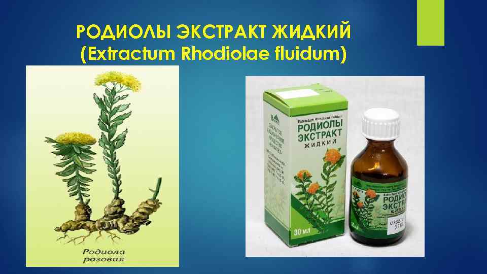 РОДИОЛЫ ЭКСТРАКТ ЖИДКИЙ (Extractum Rhodiolae fluidum) 