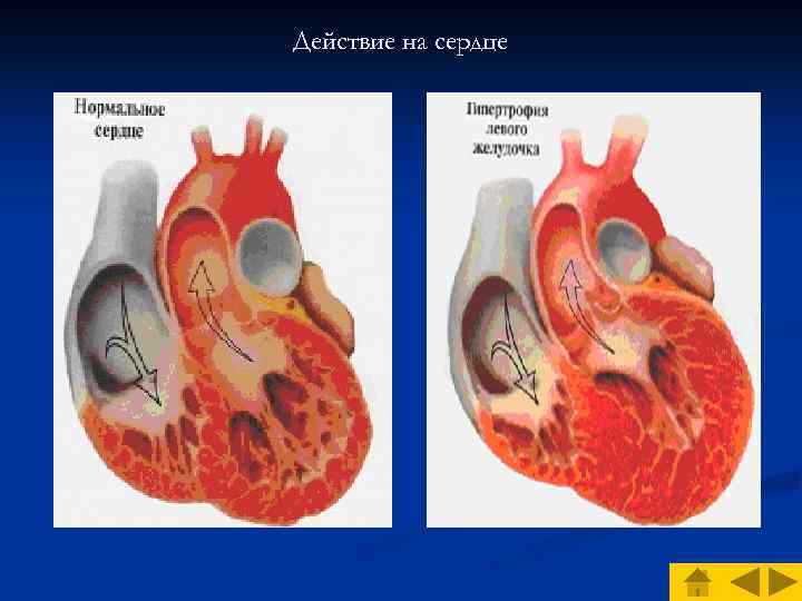 Действие на сердце 