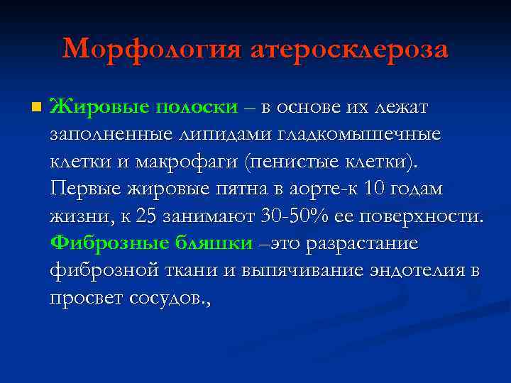 Морфология атеросклероза n Жировые полоски – в основе их лежат заполненные липидами гладкомышечные клетки