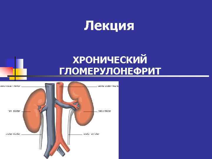 Лекция ХРОНИЧЕСКИЙ ГЛОМЕРУЛОНЕФРИТ 