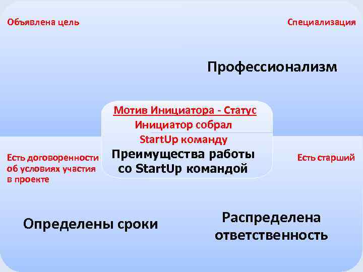 Специализация Объявлена цель Профессионализм Есть договоренности об условиях участия в проекте Мотив Инициатора -